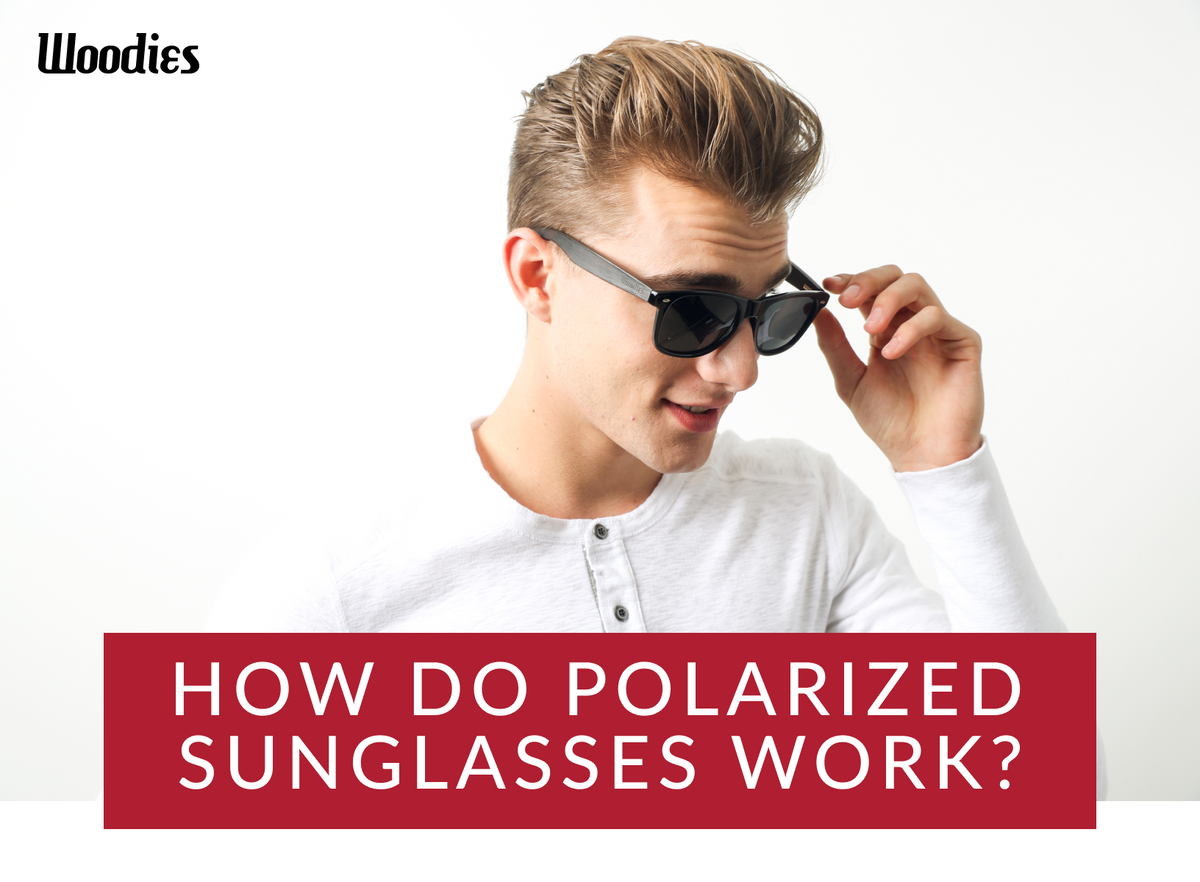 How do polarized sunglasses work Woodies